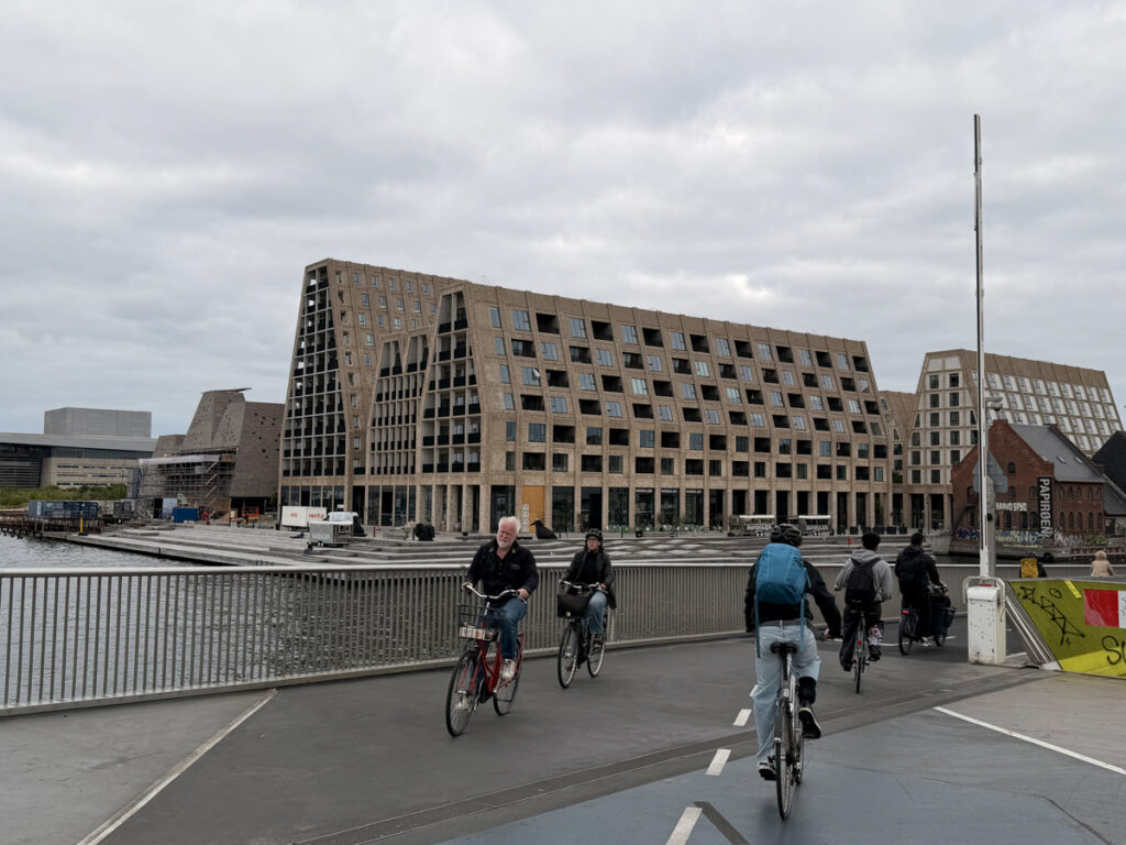 Biking in Copenhagen